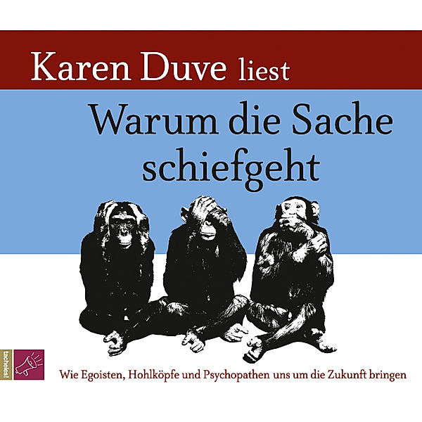 Warum die Sache schiefgeht,2 Audio-CD, Karen Duve