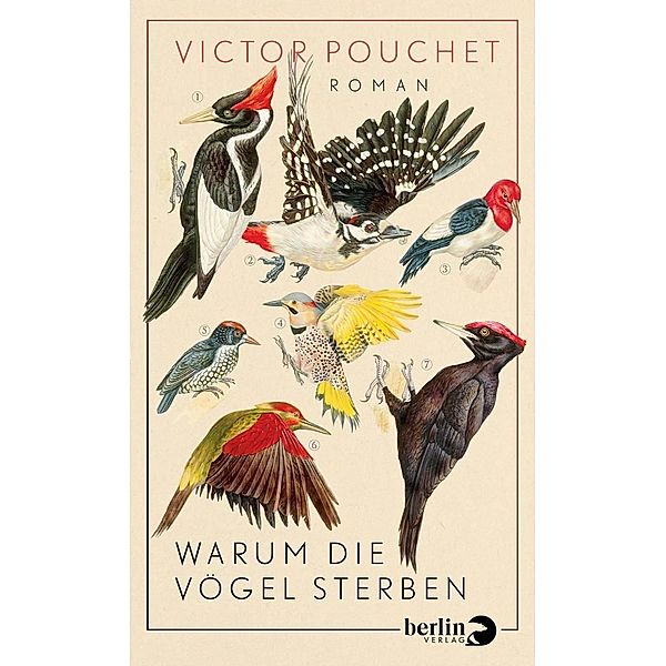 Warum die Vögel sterben, Victor Pouchet