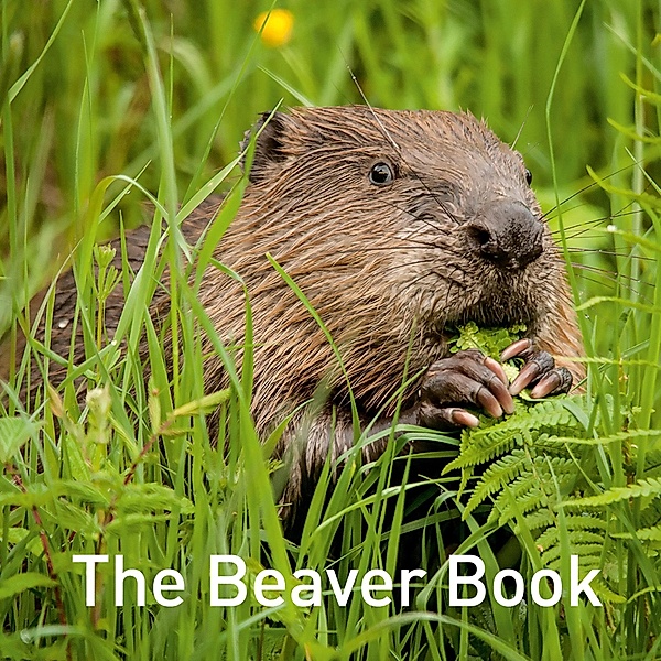 Warwick, H: Beaver Book, Hugh Warwick