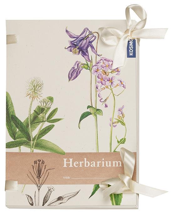 Herbarium 20 Pflanzen Top Aus Jahr 2020 Große Auswahl Frei wählbar 