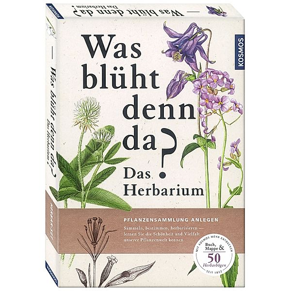 Was blüht denn da? - Das Herbarium, Doris Grappendorf