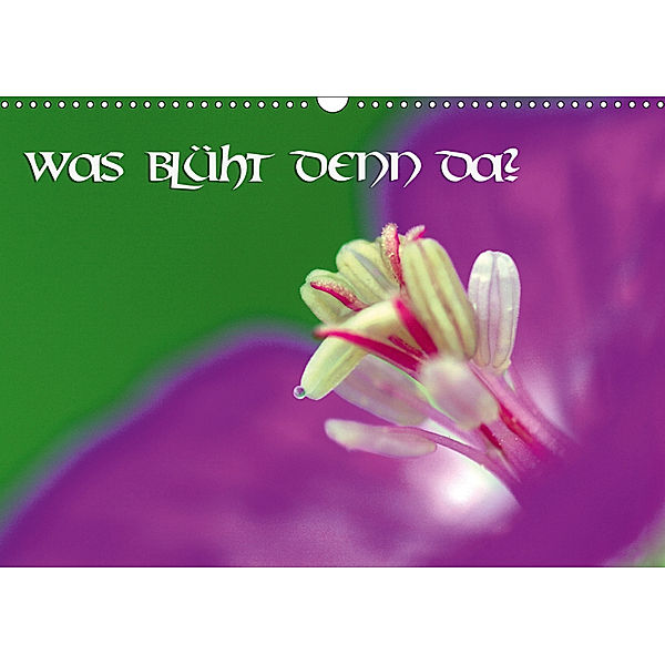 Was blüht denn da? (Wandkalender 2019 DIN A3 quer), Blume Bild