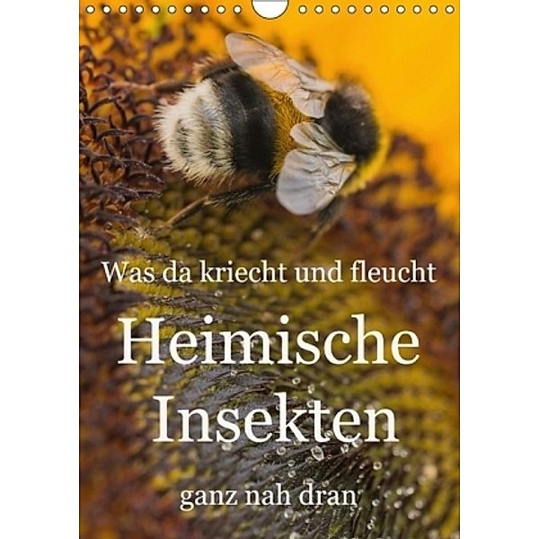 Was da kriecht und fleucht - Heimische Insekten - ganz nah dran (Wandkalender 2017 DIN A4 hoch), Mark Bangert
