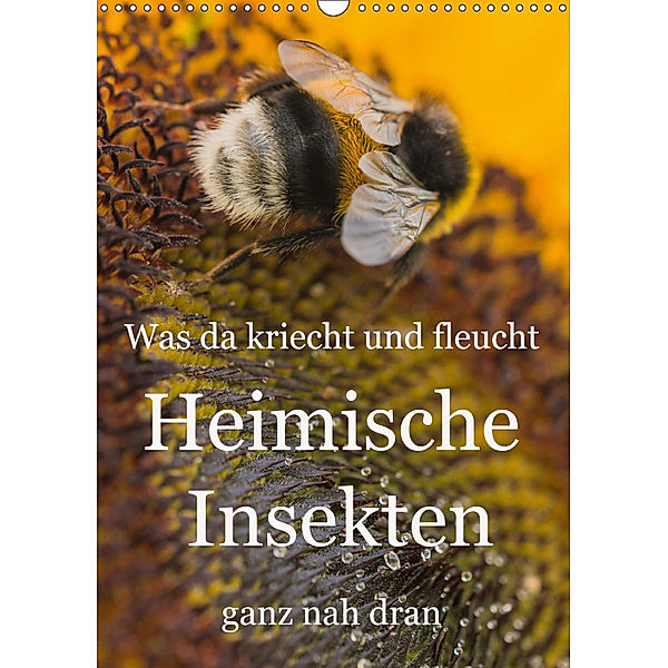 Was da kriecht und fleucht - Heimische Insekten - ganz nah dran (Wandkalender 2019 DIN A3 hoch), Mark Bangert