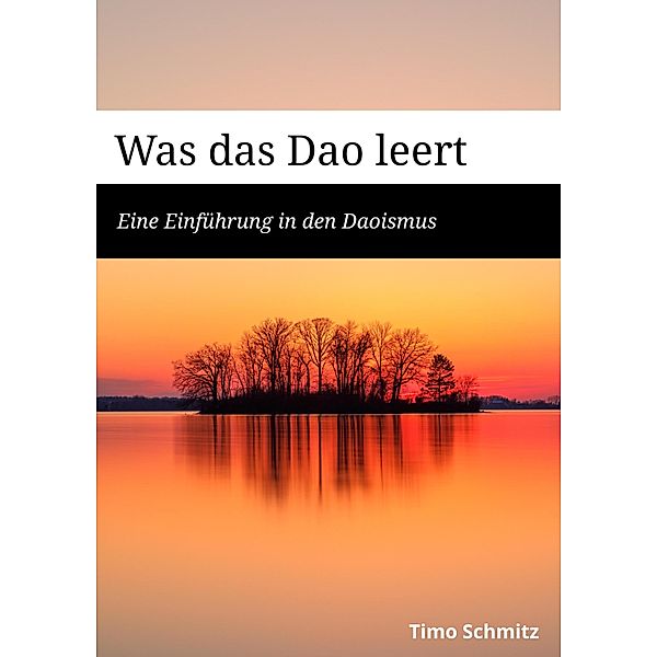 Was das Dao leert, Timo Schmitz
