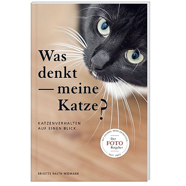 Was denkt meine Katze, Brigitte Rauth-Widmann