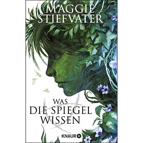 Was die Spiegel wissen / Raven Cycle Bd.3, Maggie Stiefvater