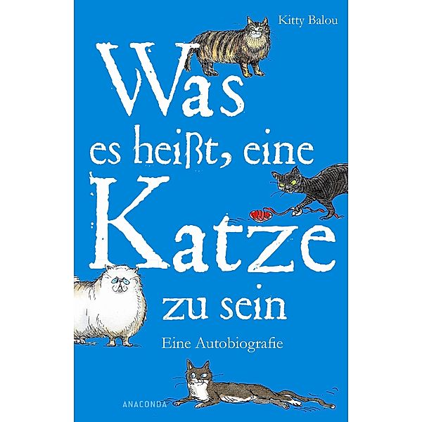 Was es heißt, eine Katze zu sein, Kitty Balou