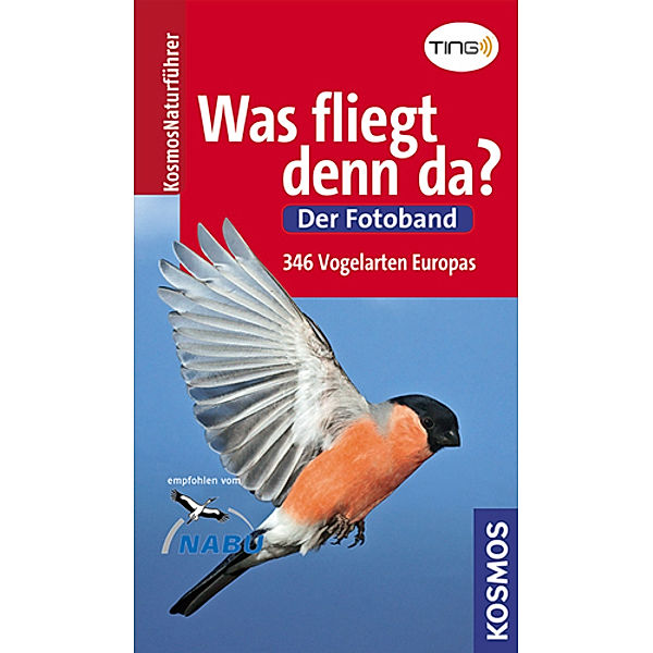 Was fliegt denn da?, Detlef Singer