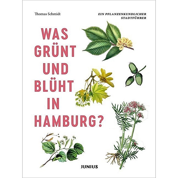 Was grünt und blüht in Hamburg?, Thomas Schmidt