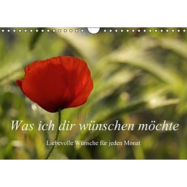 Was ich dir wünsche / Liebevolle Wünsche für jeden Monat (Wandkalender 2015 DIN A4 quer), Gudrun Nitzold-Briele