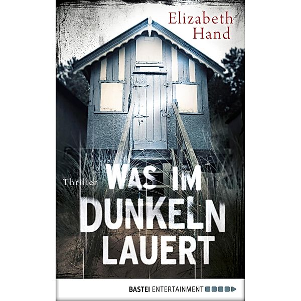 Was im Dunkeln lauert / Cassandra Neary Bd.2, Elizabeth Hand