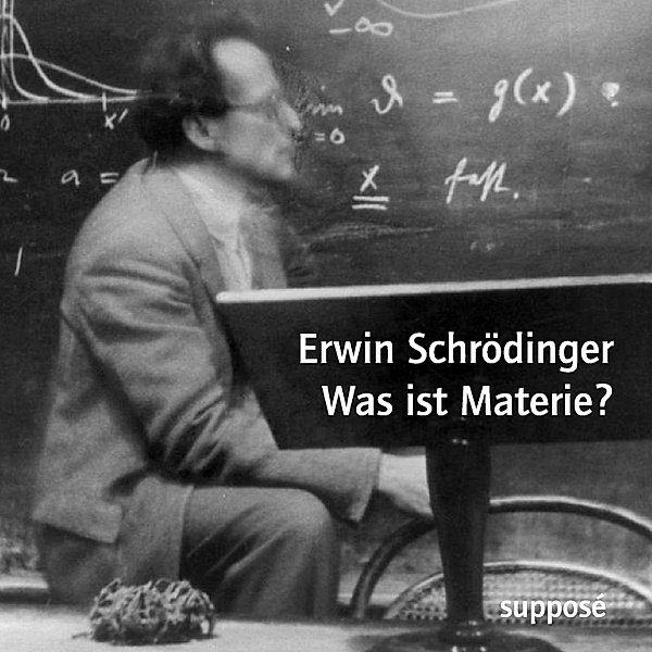 Was ist Materie?, Erwin Schrödinger