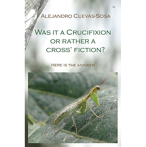 Was It a Crucifixion or Rather a Cross Fiction?, Alejandro Cuevas-Sosa