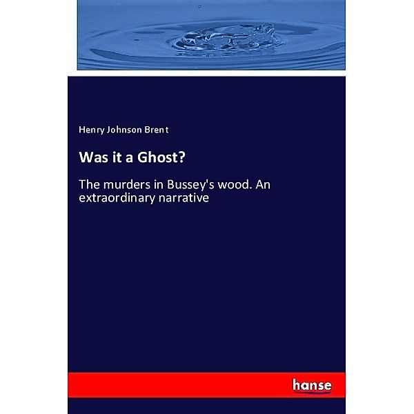 Was it a Ghost?, Henry Johnson Brent