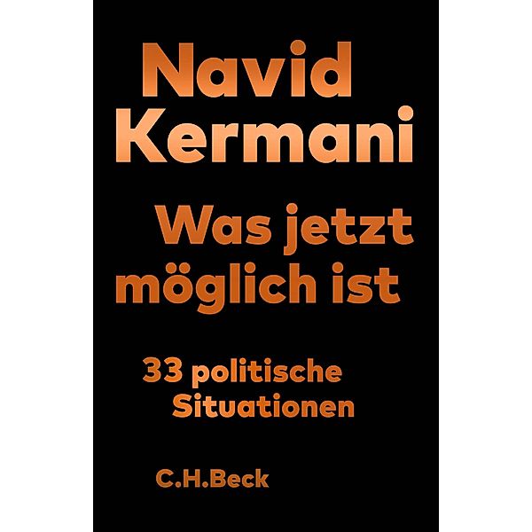 Was jetzt möglich ist, Navid Kermani