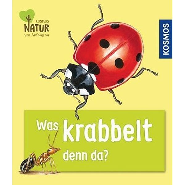 Was krabbelt denn da?, Bärbel Oftring, Andrea Köhrsen