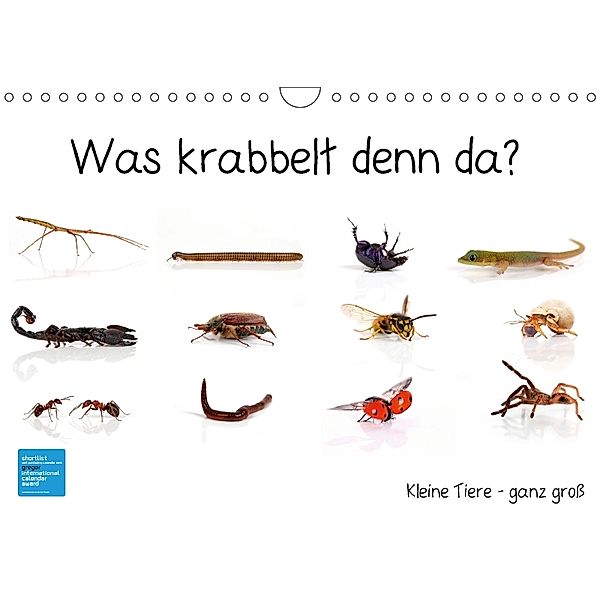 Was krabbelt denn da? (Wandkalender 2018 DIN A4 quer), Klaus Eppele