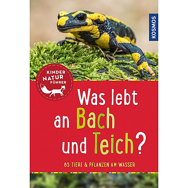 Was lebt an Bach und Teich?, Anita van Saan