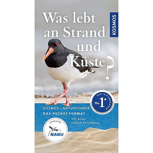 Was lebt an Strand und Küste?, Ute Wilhelmsen