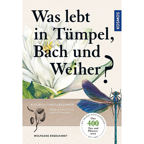 Was lebt in Tümpel, Bach und Weiher?, Wolfgang Engelhardt, Peter Martin, Klaus Rehfeld