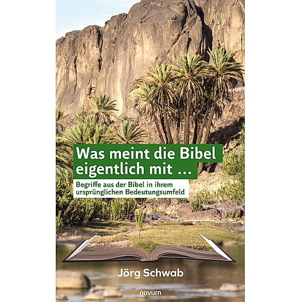 Was meint die Bibel eigentlich mit ..., Jörg Schwab