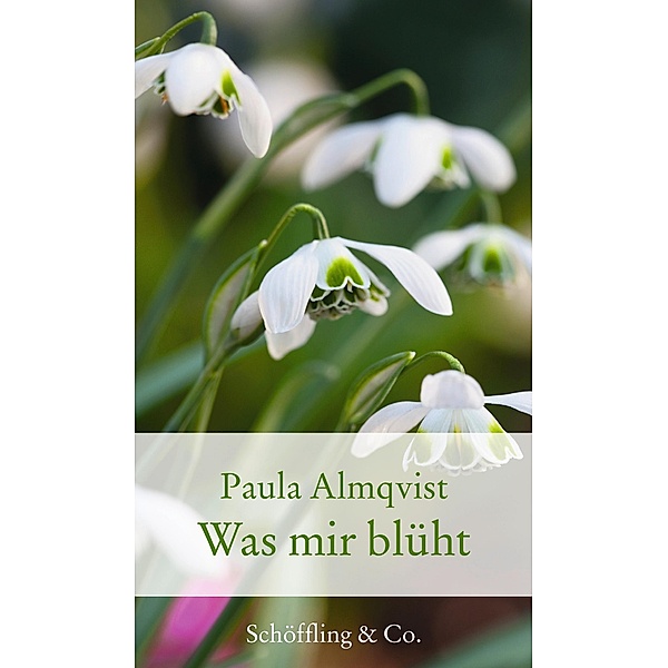 Was mir blüht / Gartenbücher - Garten-Geschenkbücher (CP983), Paula Almqvist