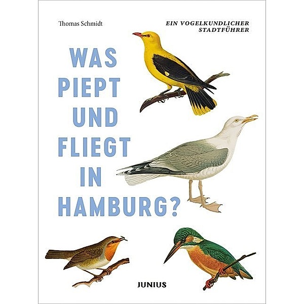 Was piept und fliegt in Hamburg?, Thomas Schmidt