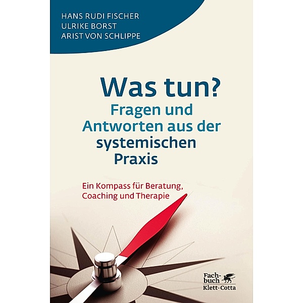 Was tun? Fragen und Antworten aus der systemischen Praxis, Hans Rudi Fischer, Ulrike Borst, Arist von Schlippe
