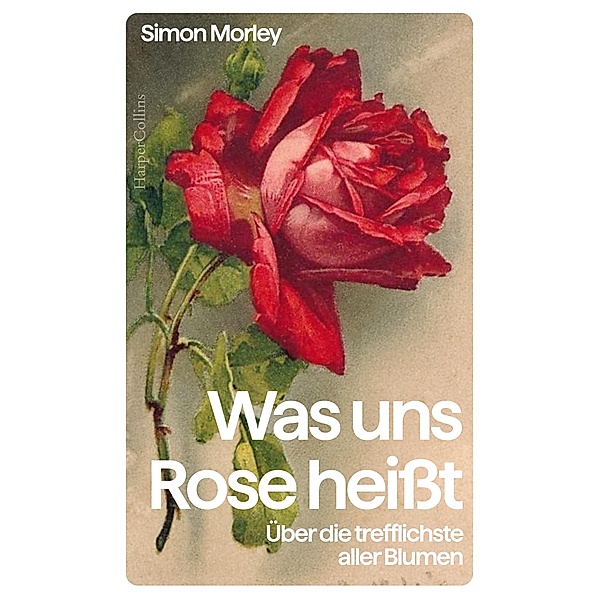 »Was uns Rose heisst«. Über die trefflichste aller Blumen, Simon Morley