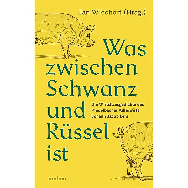 Was zwischen Schwanz und Rüssel ist