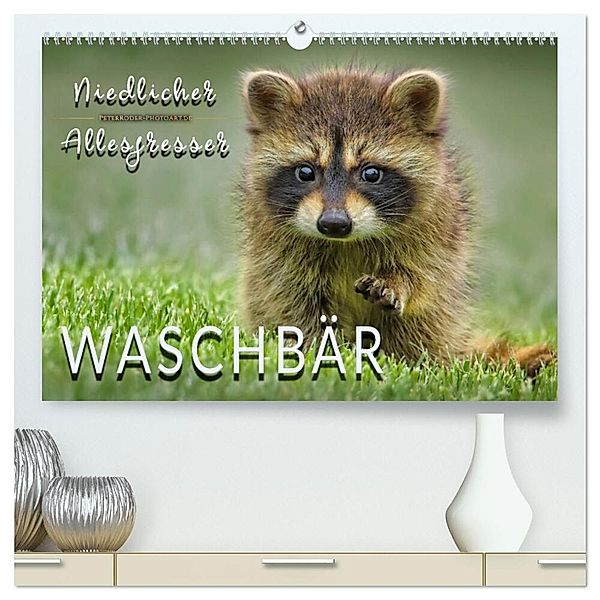 Waschbär - Niedlicher Allesfresser (hochwertiger Premium Wandkalender 2024 DIN A2 quer), Kunstdruck in Hochglanz, Peter Roder