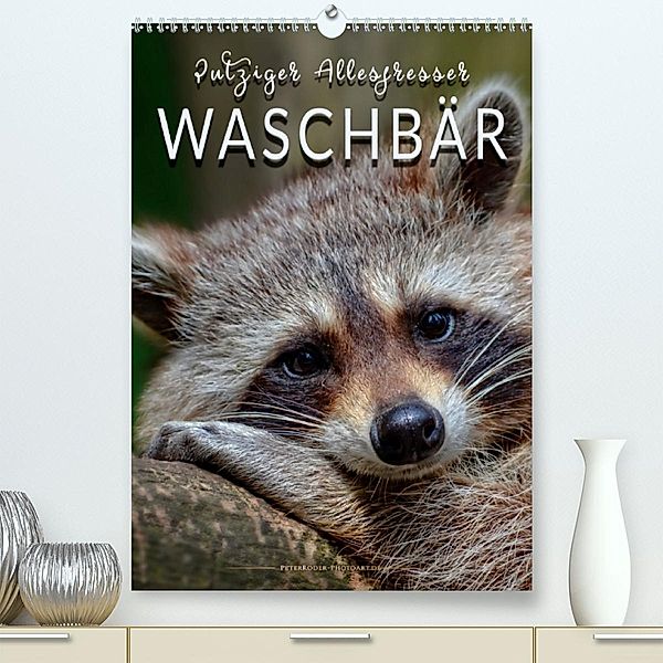 Waschbär - putziger Allesfresser(Premium, hochwertiger DIN A2 Wandkalender 2020, Kunstdruck in Hochglanz), Peter Roder