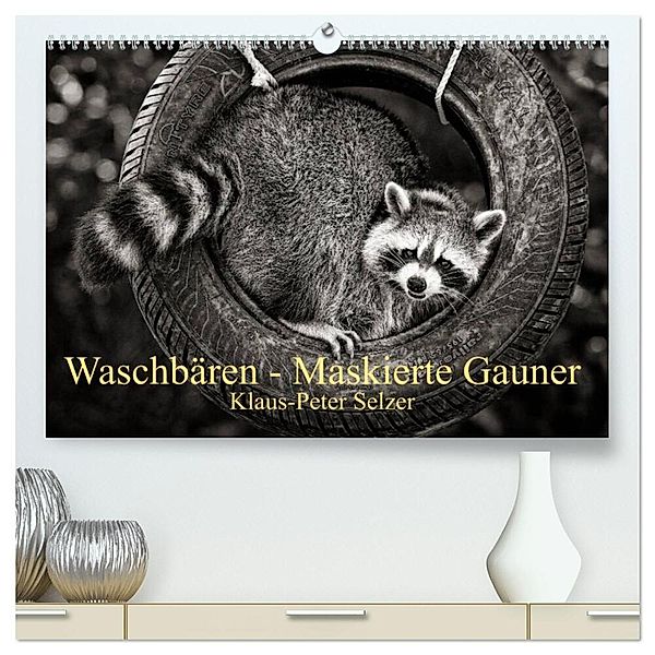 Waschbären - Maskierte Gauner (hochwertiger Premium Wandkalender 2025 DIN A2 quer), Kunstdruck in Hochglanz, Calvendo, Klaus-Peter Selzer