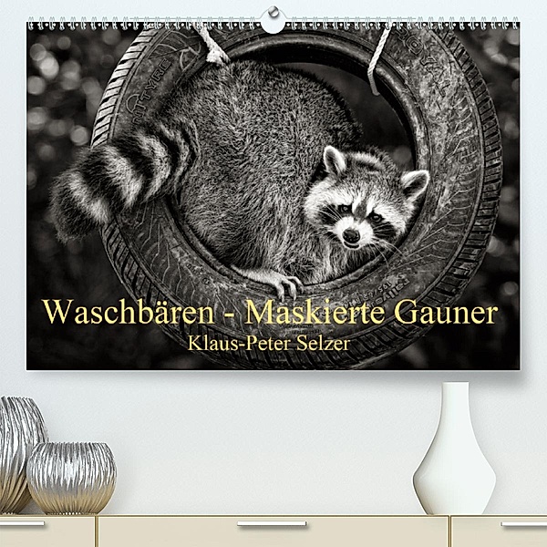 Waschbären - Maskierte Gauner (Premium, hochwertiger DIN A2 Wandkalender 2020, Kunstdruck in Hochglanz), Klaus-Peter Selzer