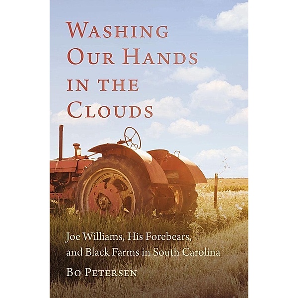 Washing Our Hands in the Clouds, Bo Petersen