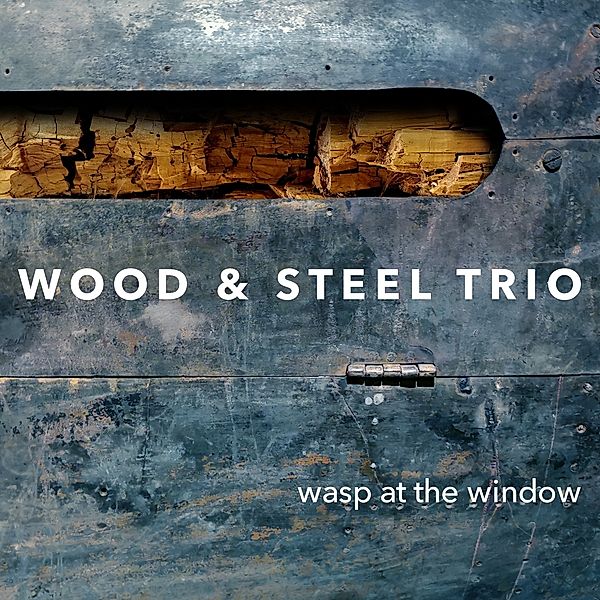 Wasp At The Window, Wood & Steel Trio