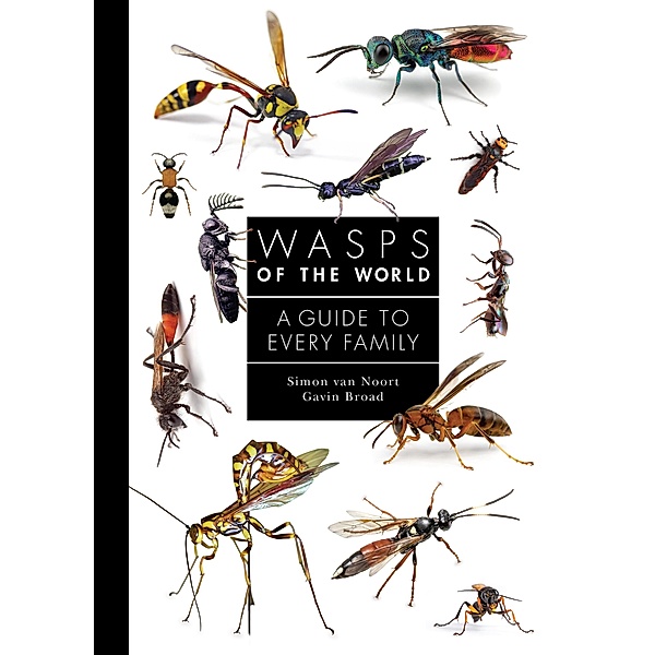 Wasps of the World / A Guide to Every Family Bd.8, Simon van Noort, Gavin Broad