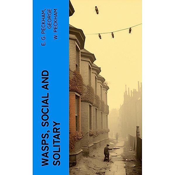 Wasps, Social and Solitary, E. G. Peckham, George W. Peckham