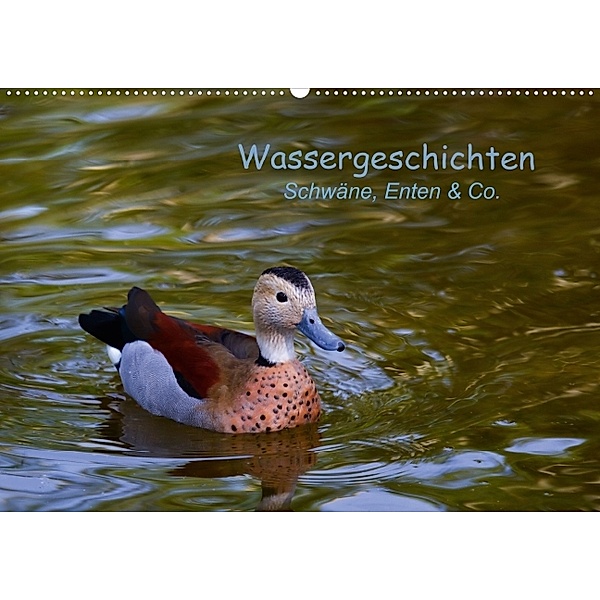 Wassergeschichten - Schwäne, Enten & Co. (Wandkalender 2014 DIN A2 quer), Ursula Di Chito