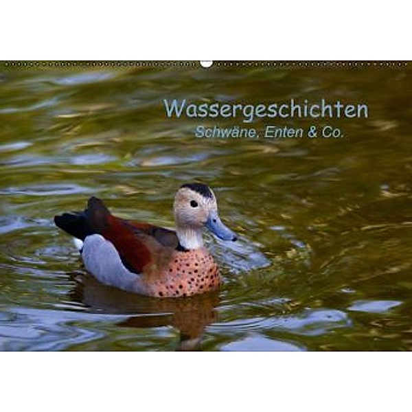 Wassergeschichten - Schwäne, Enten & Co. (Wandkalender immerwährend DIN A2 quer), Ursula Di Chito