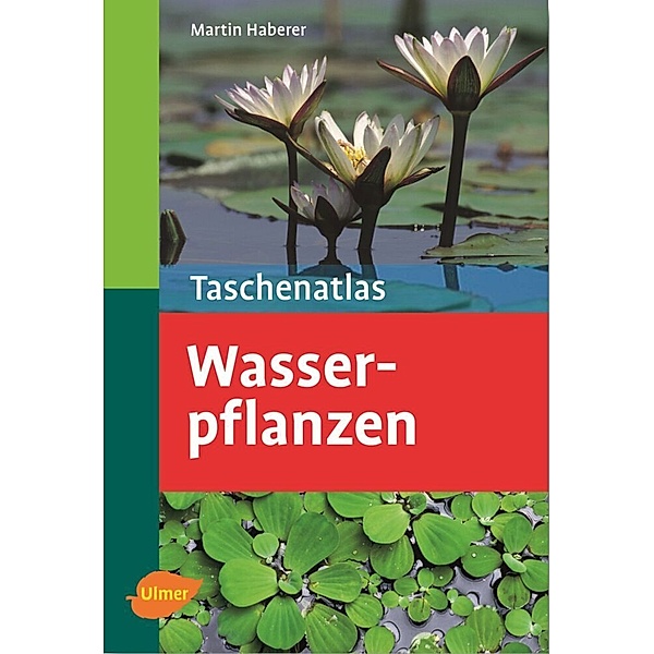 Wasserpflanzen, Martin Haberer