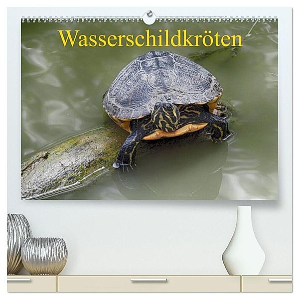 Wasserschildkröten (hochwertiger Premium Wandkalender 2024 DIN A2 quer), Kunstdruck in Hochglanz, Klaudia Kretschmann