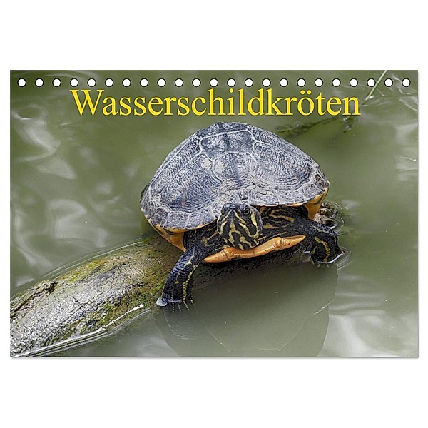 Wasserschildkröten (Tischkalender 2024 DIN A5 quer), CALVENDO Monatskalender, Klaudia Kretschmann