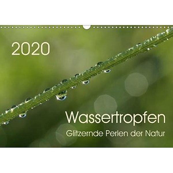 Wassertropfen - glitzernde Perlen der Natur (Wandkalender 2020 DIN A3 quer), Sigrid Enkemeier
