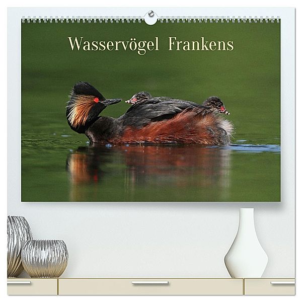Wasservögel Frankens (hochwertiger Premium Wandkalender 2024 DIN A2 quer), Kunstdruck in Hochglanz, Calvendo, Günter Bachmeier