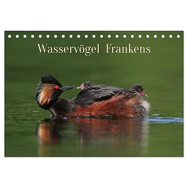 Wasservögel Frankens (Tischkalender 2024 DIN A5 quer), CALVENDO Monatskalender, Calvendo, Günter Bachmeier
