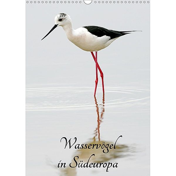 Wasservögel in Südeuropa (Wandkalender 2021 DIN A3 hoch), Benny Trapp