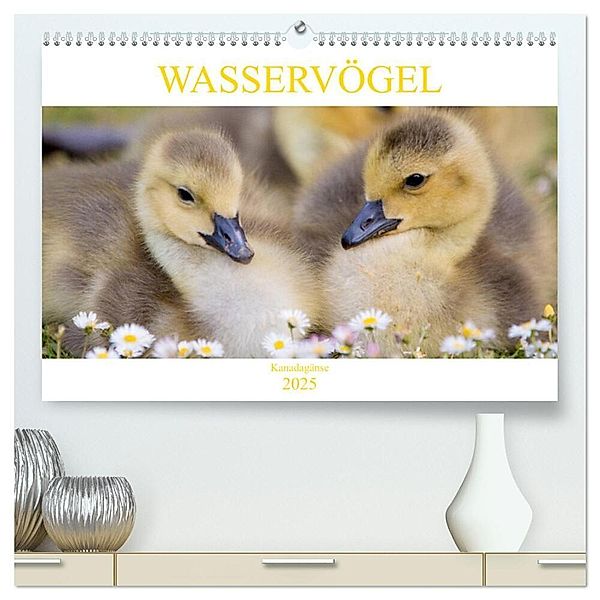 Wasservögel - Kanadagänse (hochwertiger Premium Wandkalender 2025 DIN A2 quer), Kunstdruck in Hochglanz, Calvendo, pixs:sell