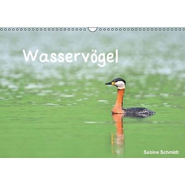 Wasservögel (Wandkalender 2016 DIN A3 quer), Sabine Schmidt